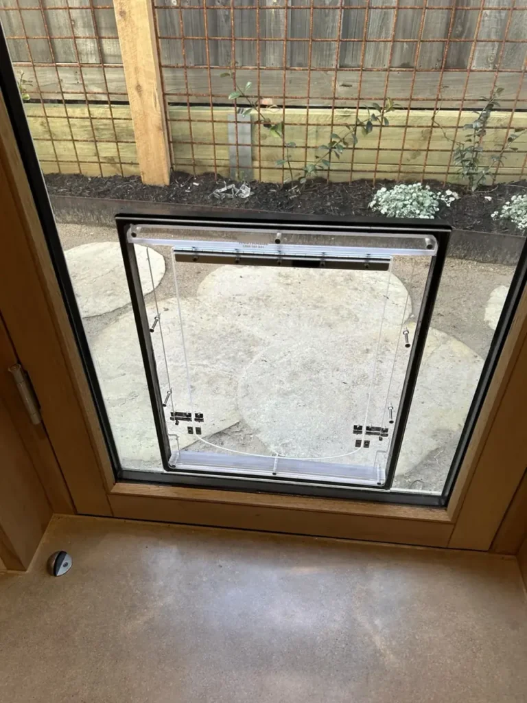 Close-up of a pet door fitted in the lower portion of a glazed panel