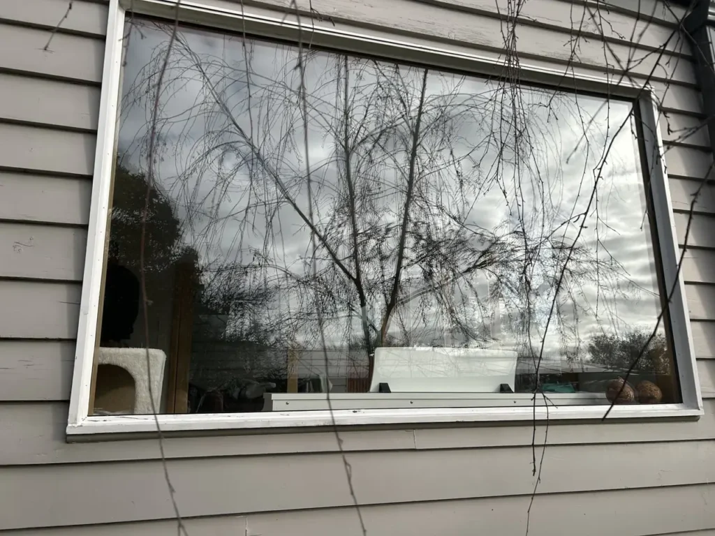 Window with the replacement double-glazed unit fitted